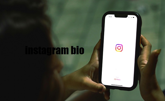 instagram bio